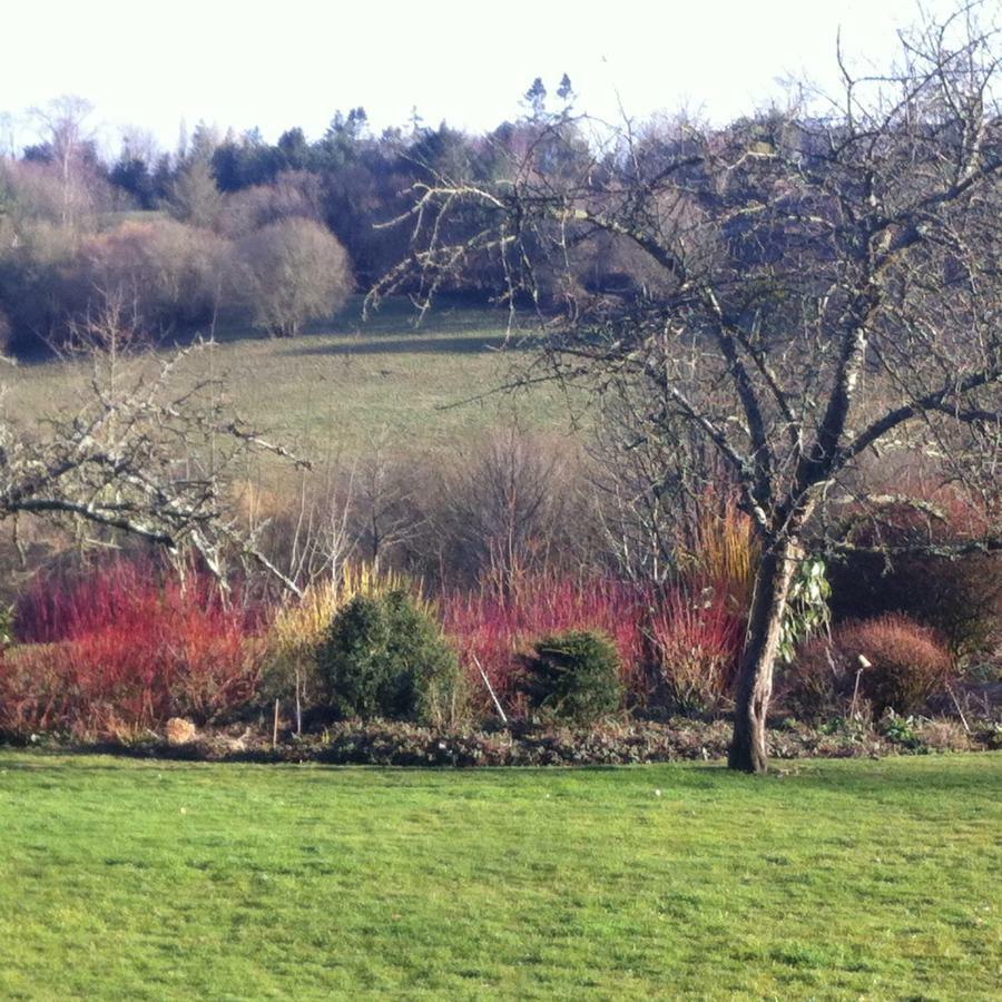 Surville  Chambre D'Hote Pres De Deauville מראה חיצוני תמונה
